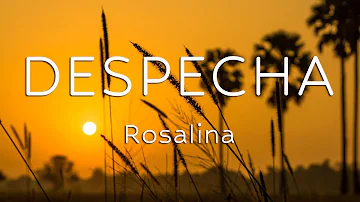 ROSALÍA - DESPECHÁ (Letra/Lyrics)