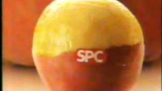 SPC Caned Fruit