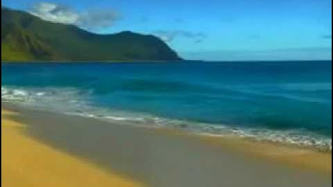 الشيخ محمد كامل الملواني / سورة الفتح / من 18 الى 26