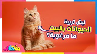 حزورات شهاب | ليش تربية الحيوانات بالبيت ما مرغوبة؟