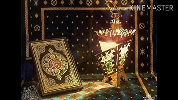 الشيخ عامر الكاظمي / القران الكريم/ سوره الانفال