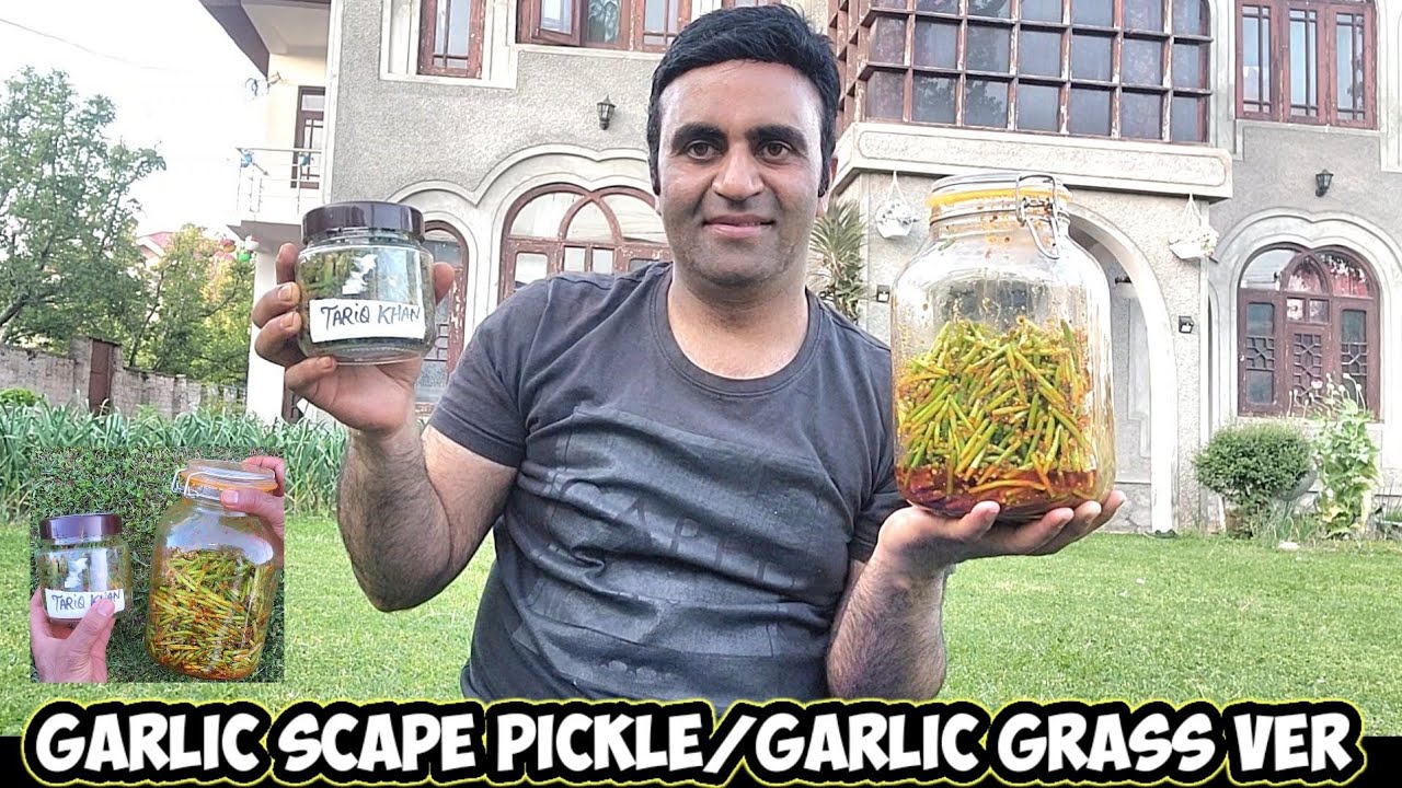 Rohani Gool Aanchar Kashmiri Pickle | Garlic Scape Pickle & Garlic Grass Ver Masala