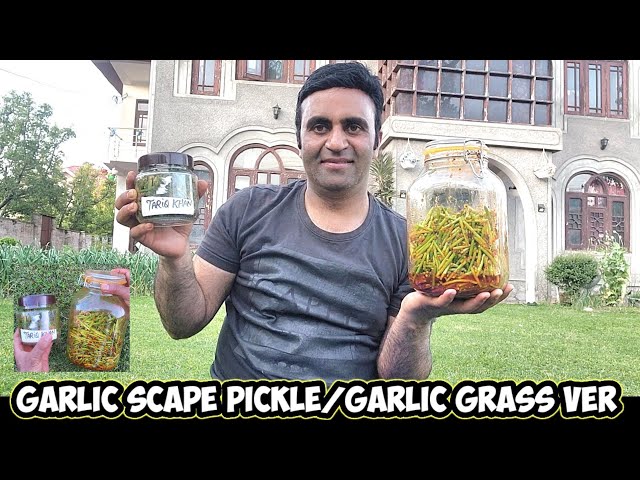 Rohani Gool Aanchar Kashmiri Pickle | Garlic Scape Pickle & Garlic Grass Ver Masala class=
