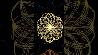 Binlerce Yıllık Gizem Sonunda Çözüldü Yaşam Çiçeği