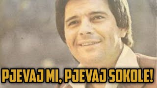 Video thumbnail of "Borislav Zoric Licanin-Pjevaj mi, pjevaj sokole(Sing to me, sing falcon)"