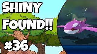 FANTASTIC!! SHINY KYOGRE in 143 Encouters!! Pokemon Ultra Moon