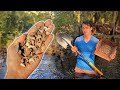 Shark Tooth Hunting in a Florida Creek | Digging and Sifting to Find Fossils | PaleoCris