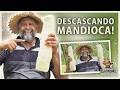 DESCASCANDO assim a MANDIOCA vai derreter