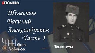 Шелестов Василий Александрович.  Часть 1. Проект \