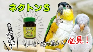 ネクトンSの湿気対策セットに感動！！黄色いお水に興味津々なインコたち【鳥の健康】