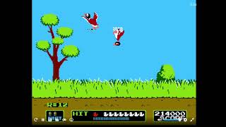 Duck Hunt