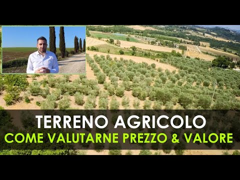 Video: Come Diventare Proprietario Di Un Terreno: Registrare Nuovamente La Terra Dall'uso Perpetuo Alla Proprietà