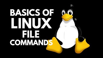 8 Learn Vi Editor – Creating, Viewing, and Editing Text Files | Linux Essentials | Hunt The Skills