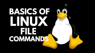 8 Learn Vi Editor – Creating, Viewing, and Editing Text Files | Linux Essentials | Hunt The Skills