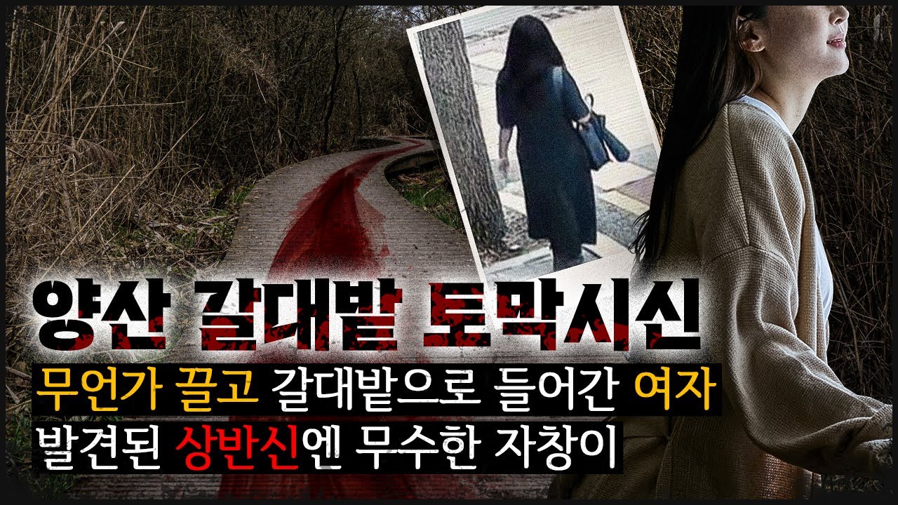 [양산 갈대밭] 야심한 밤 수풀 사이로 뭔가를 끌고 들어간 여자