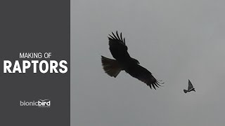 Raptors - FULL VERSION