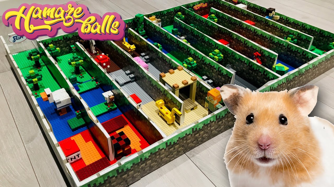 hamster lego maze