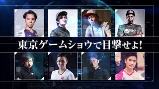 「ストリートファイターＶ 昇龍拳 トーナメント」ＰＶ