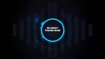 Hologram Seal Labelling Machine | 2 Top Applicator With Corner Press | Solo Labeller Technology