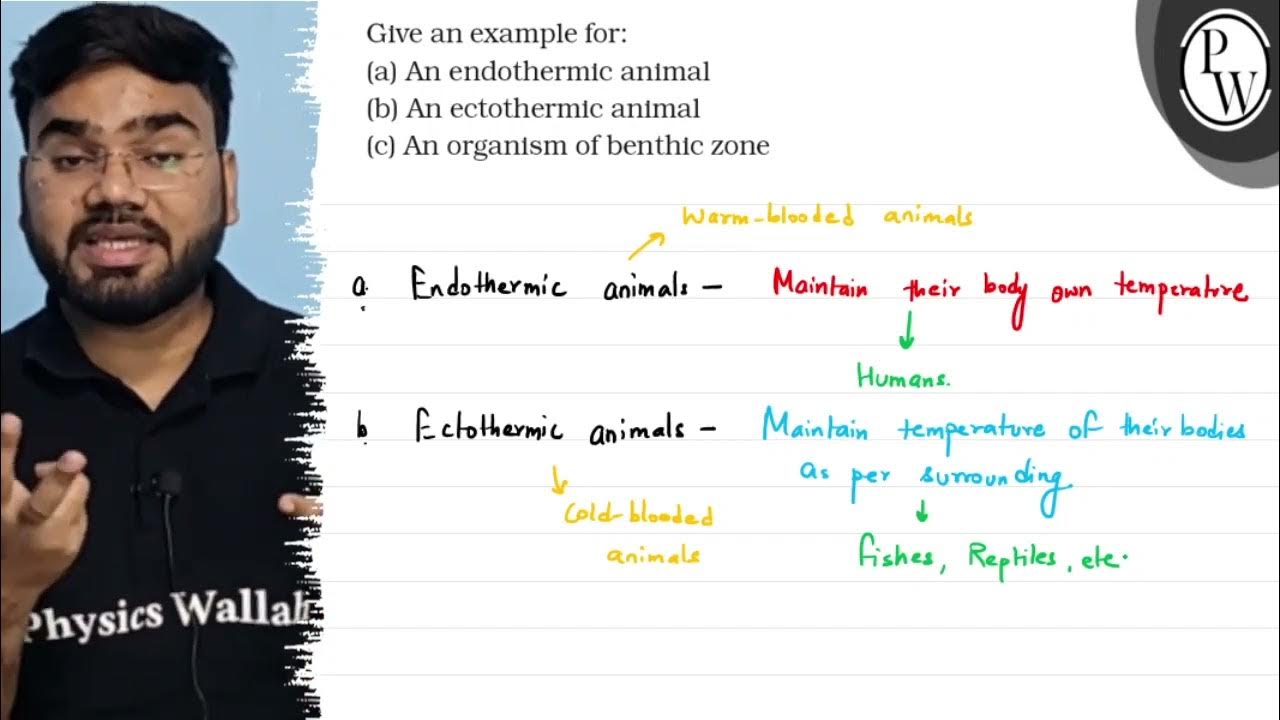 Give an example for: (a) An endothermic animal (b) An ectothermic a