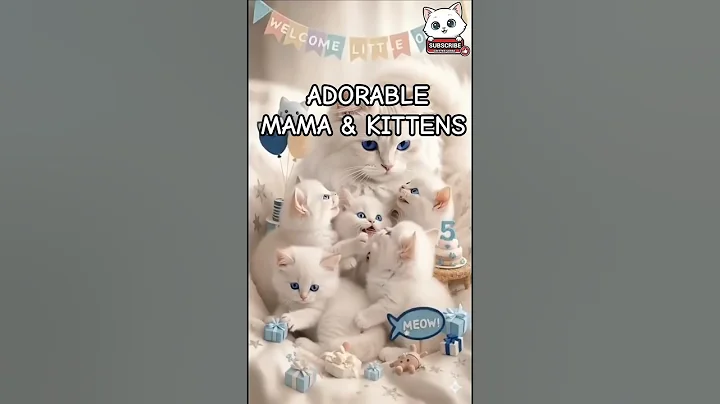 Video 11390421: russian blue cat meowing, adorable russian blue cat, cat golden meow, cat's meow toy, kitten blue eyes, little kitten