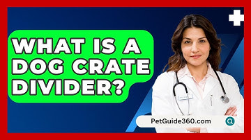 What Is A Dog Crate Divider? - PetGuide360.com