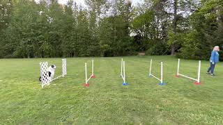 Foundation Jumping Level 1-Compression Grid-59”-05-09-23