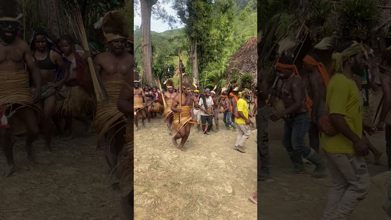 Budaya dansa oleh masyarakat Papua khususnya suku yali,yalenang sedang danasa di maktalak 