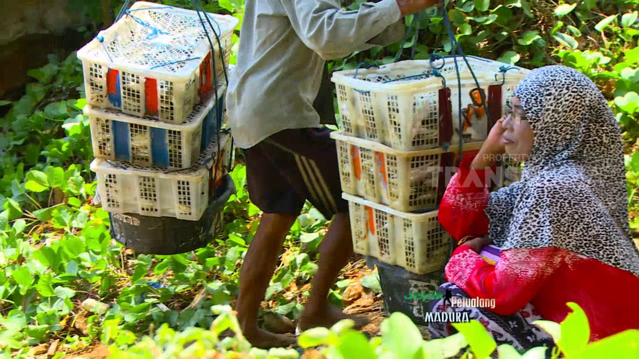 JEJAK PETUALANG - GILI MADURA PUNYA PESONA BAHARI (17/7/17) 3-1