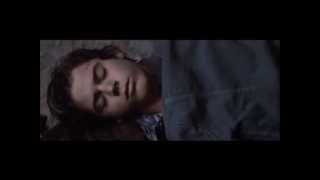The Outsiders [And It's In My Dreams]
