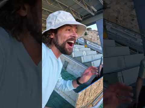 2000 Golf Balls VS SKI Jump #viralvideo #viralshorts #millionviews