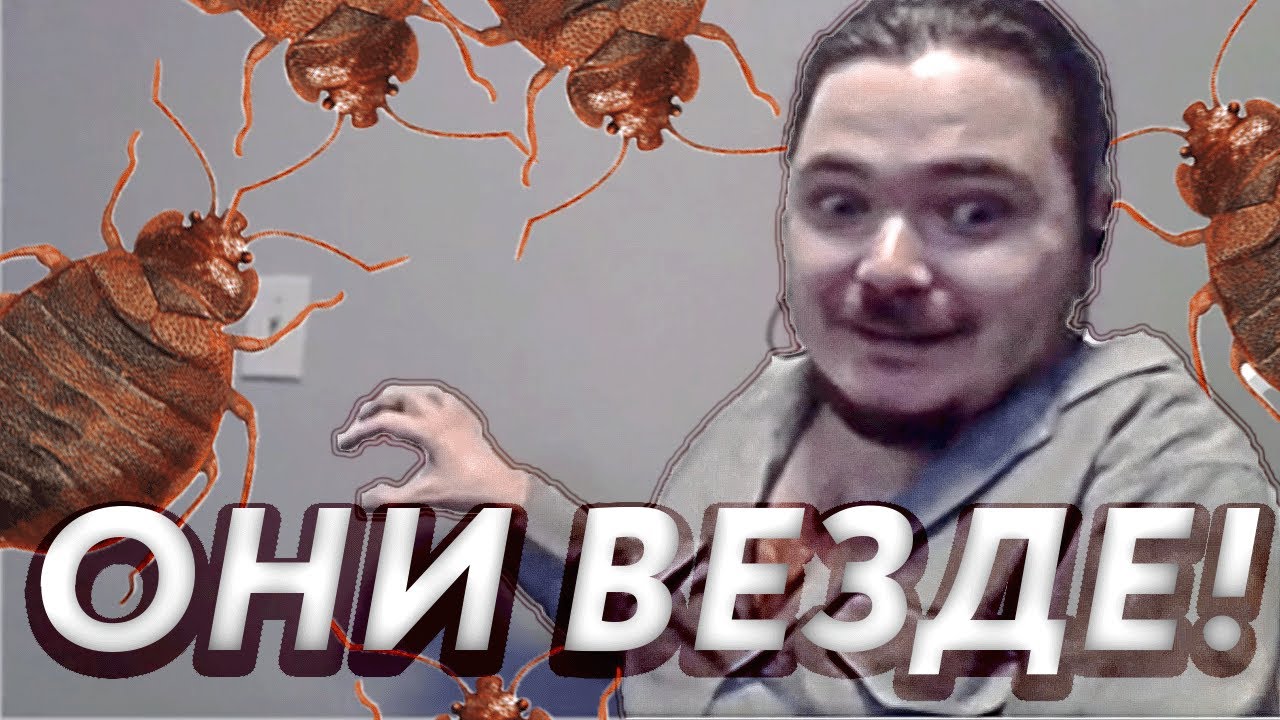 Маргинал рассказывает увлекательные истории про клопов - YouTube