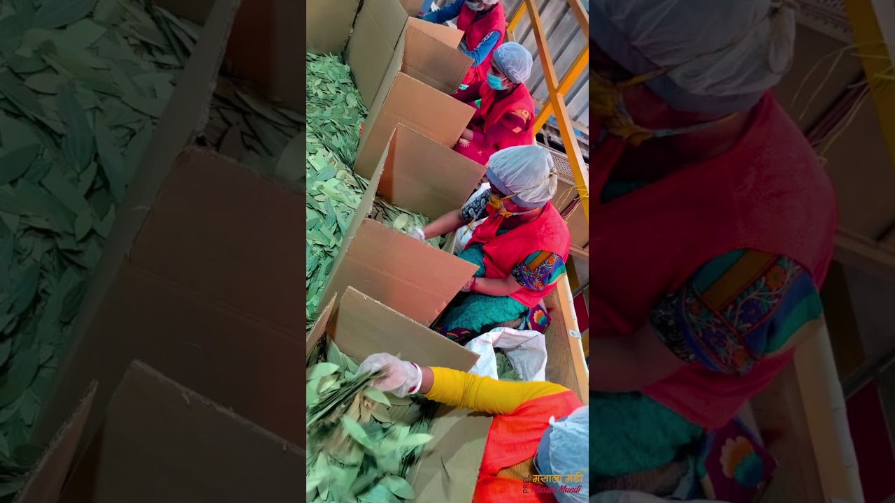 Finest Spices | Wholesale Rates