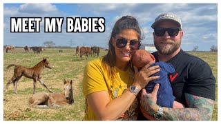 MEET OUR SON….PLUS MORE BABIES?!?!