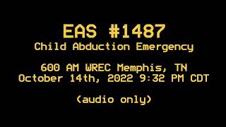 Tennessee Statewide AMBER Alert (#1487)
