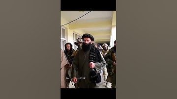 Sher Panjsher Abdul Hamid Khurasani attitude #shorts #taliban #viral