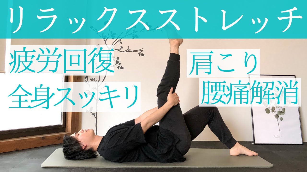 【ストレッチ】疲労回復・肩こり・腰痛・体の不調をスッキリさせる全身ストレッチ【朝夜用】