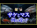 【ゆっくり解説】どっちもサーモン!?サケとマスは何が違う?を解説/鮭・鱒・サーモン・トラウト…結局何が違う?