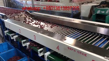 dates jujube grading machine, dates sorting machine