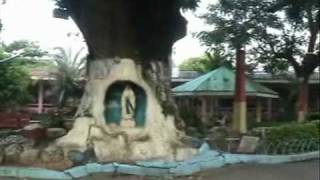Walandyong QPHS Batch 79 Part 1.wmv