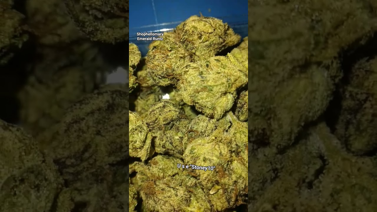 Shophellomary Emerald Runtz Premium Thca Flower Review 