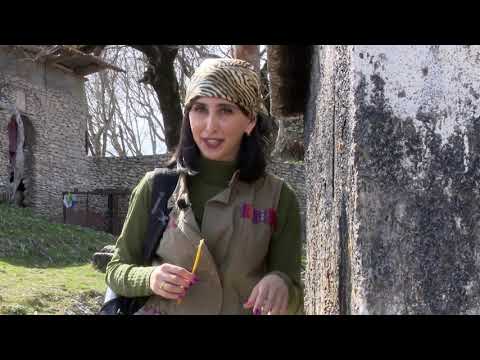 ERTI DGE SOFELSHI GOGNI- გოგნი