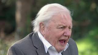 A Message From Sir David Attenborough