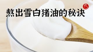 【熬猪油】熬雪白猪油的两个秘诀~百分之九十的人不知道哦真的跟雪一样白哦~ 有图有真相~【兔妈妈的厨房日记】EP4