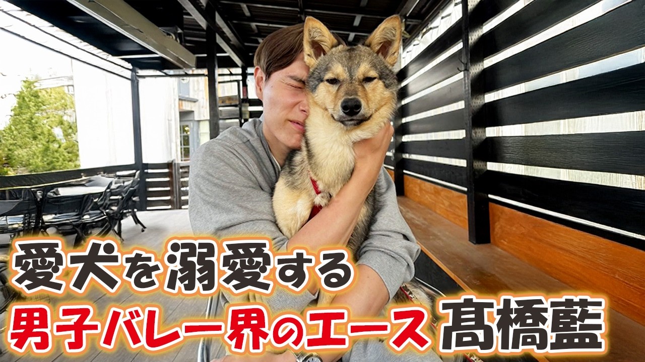 男子バレー・髙橋藍選手が選ぶ愛犬のベストショット