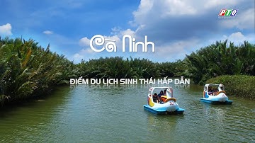 Tại sao rừng dừa nước Cà Ninh có sức hút khám phá? | QUẢNG NGÃI ĐIỂM ĐẾN | PTQ