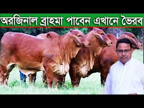 ভিডিও: পোর্টাল দরজা: প্রবেশের মডেলগুলির বৈশিষ্ট্য, পর্যালোচনা