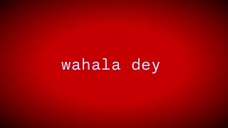 TOPSKI - wahala dey
