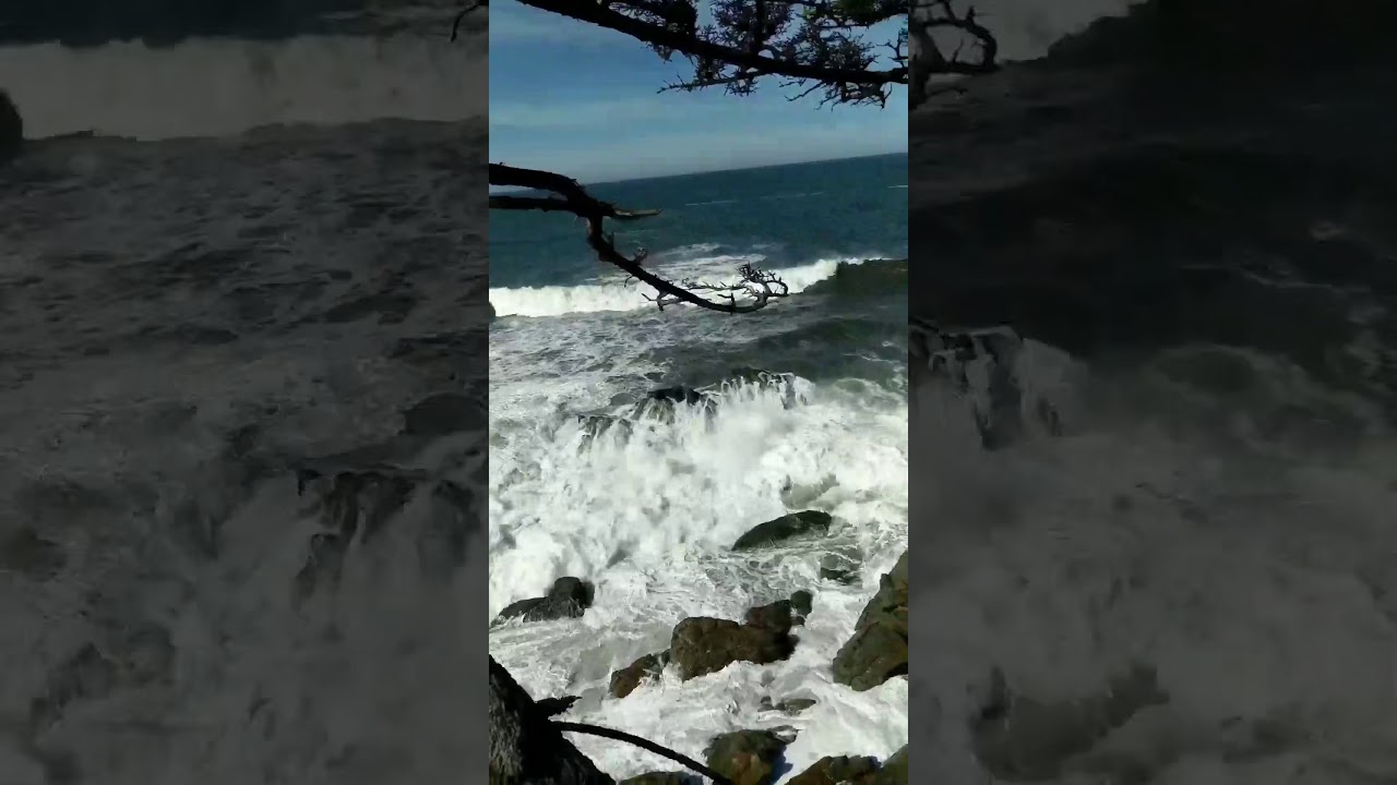 Ocean waves at Shore Acres State Park