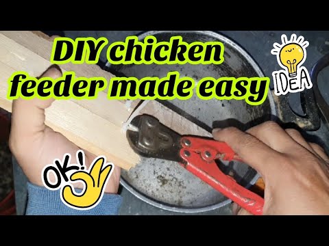 How To Make A DIY Chicken Feeder And Waterer? - YouTube